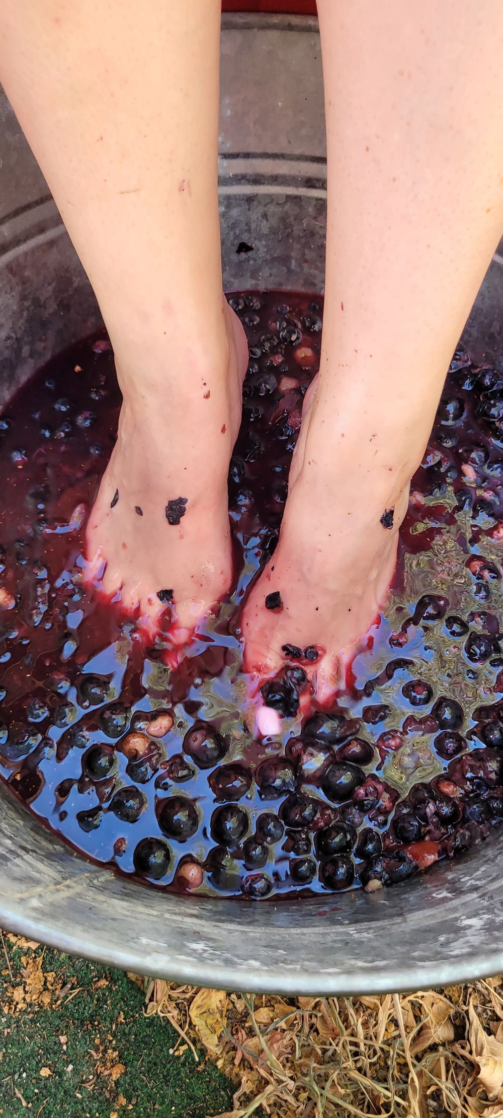 stacytoes31 OnlyFans profile picture