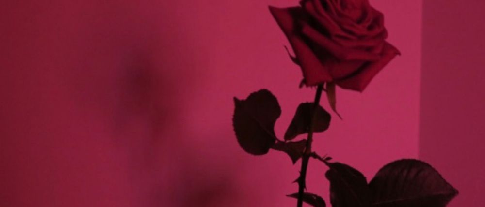 theloveshack OnlyFans profile picture