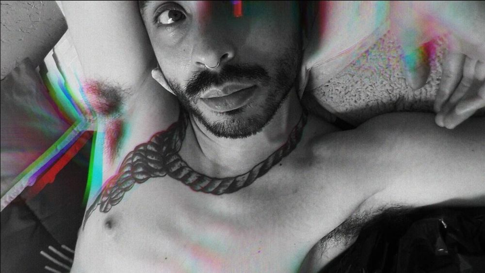 diomedeidae OnlyFans profile picture