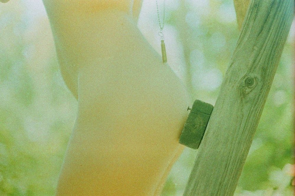 treenymphsiren OnlyFans profile picture