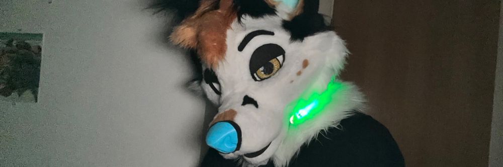 xerothearcticfox OnlyFans profile picture
