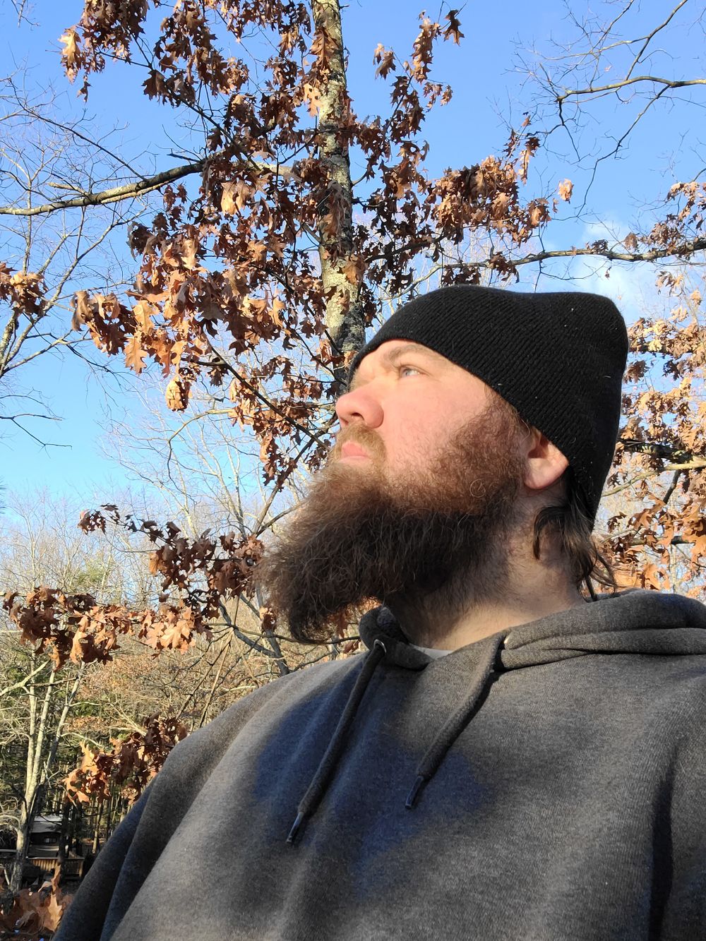 thebeard2021 OnlyFans profile picture
