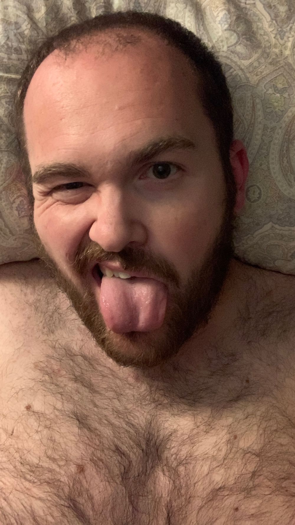 u49881944 OnlyFans profile picture