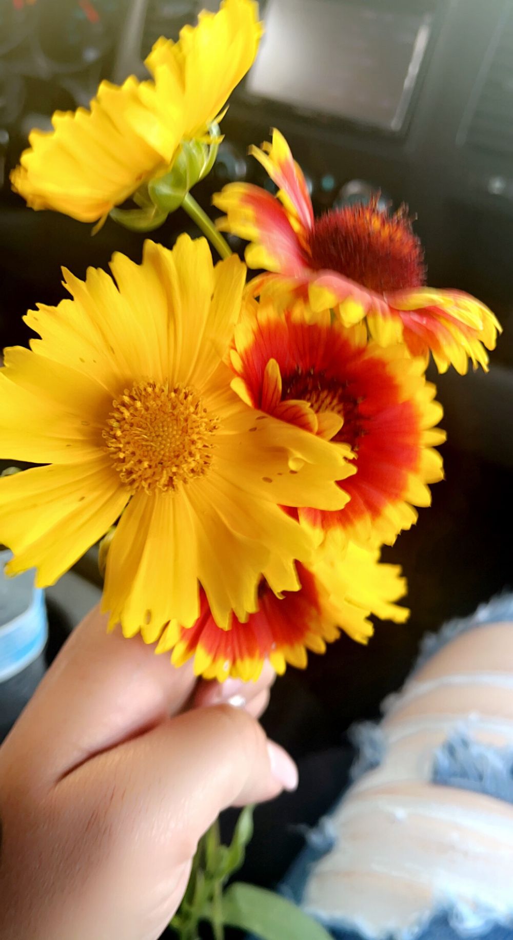 dyannabanana OnlyFans profile picture