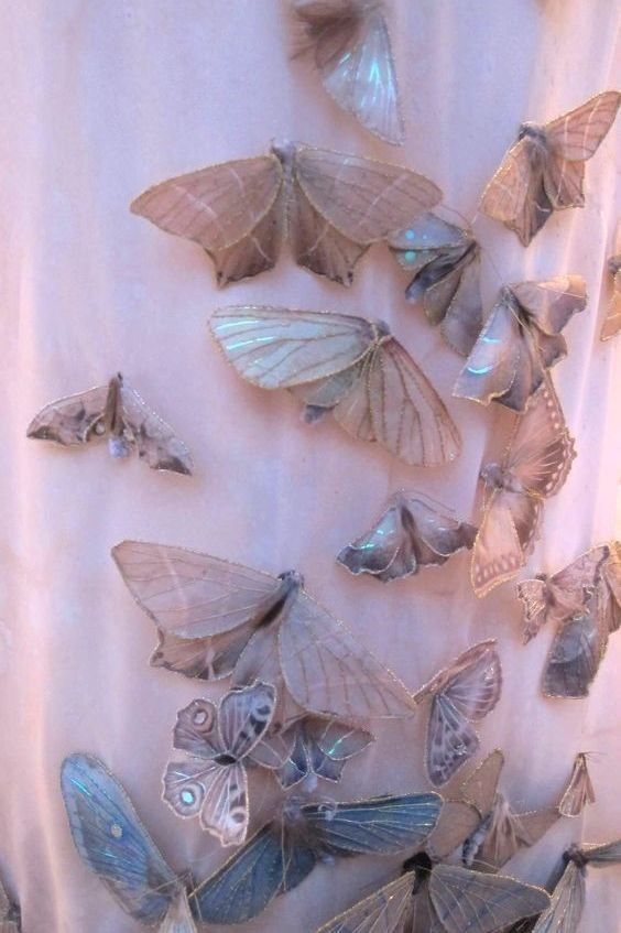 butterflyefx OnlyFans profile picture