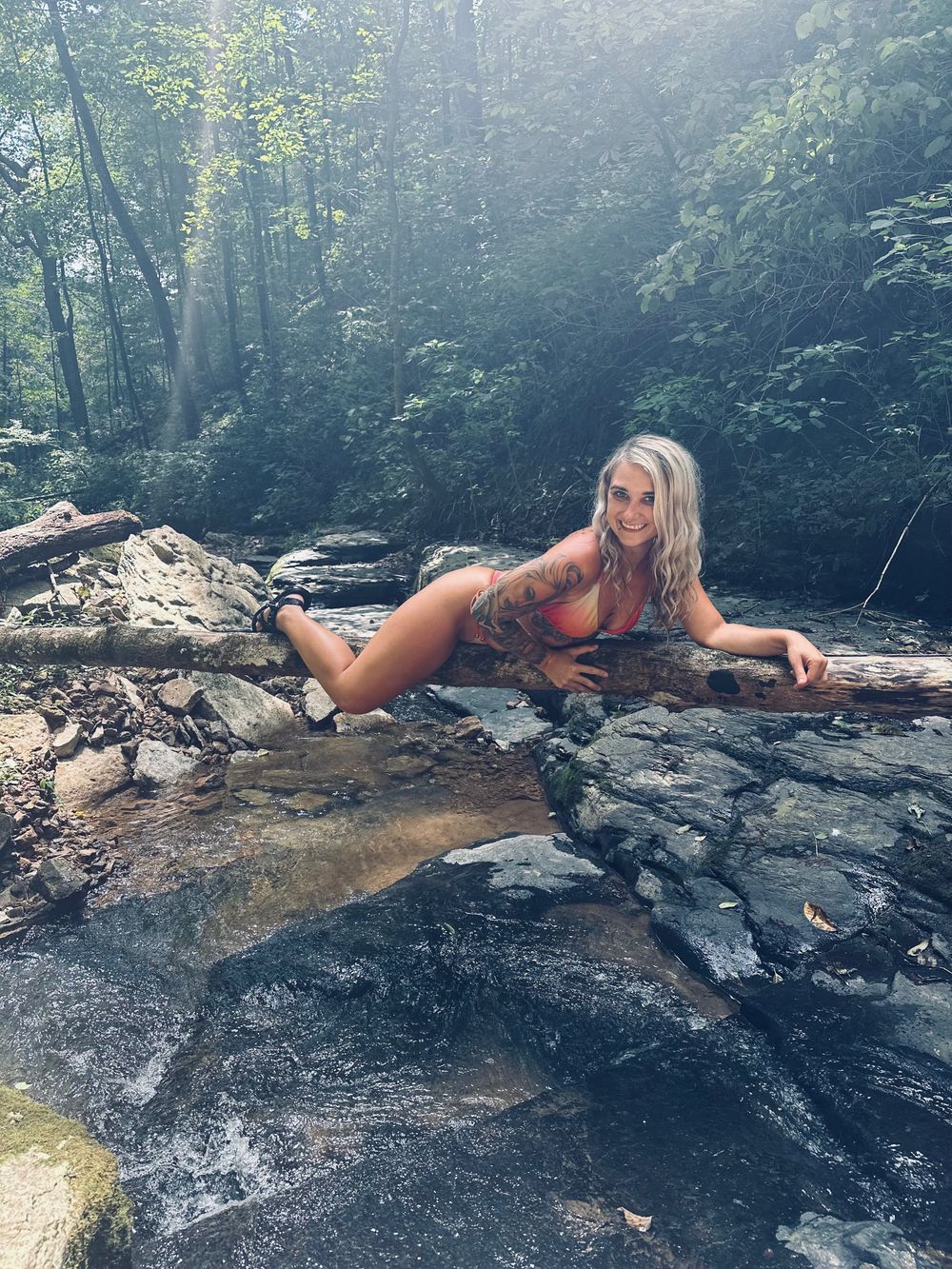 taylorrrdxxxfree OnlyFans profile picture