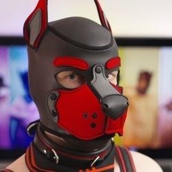 gustobunny OnlyFans picture