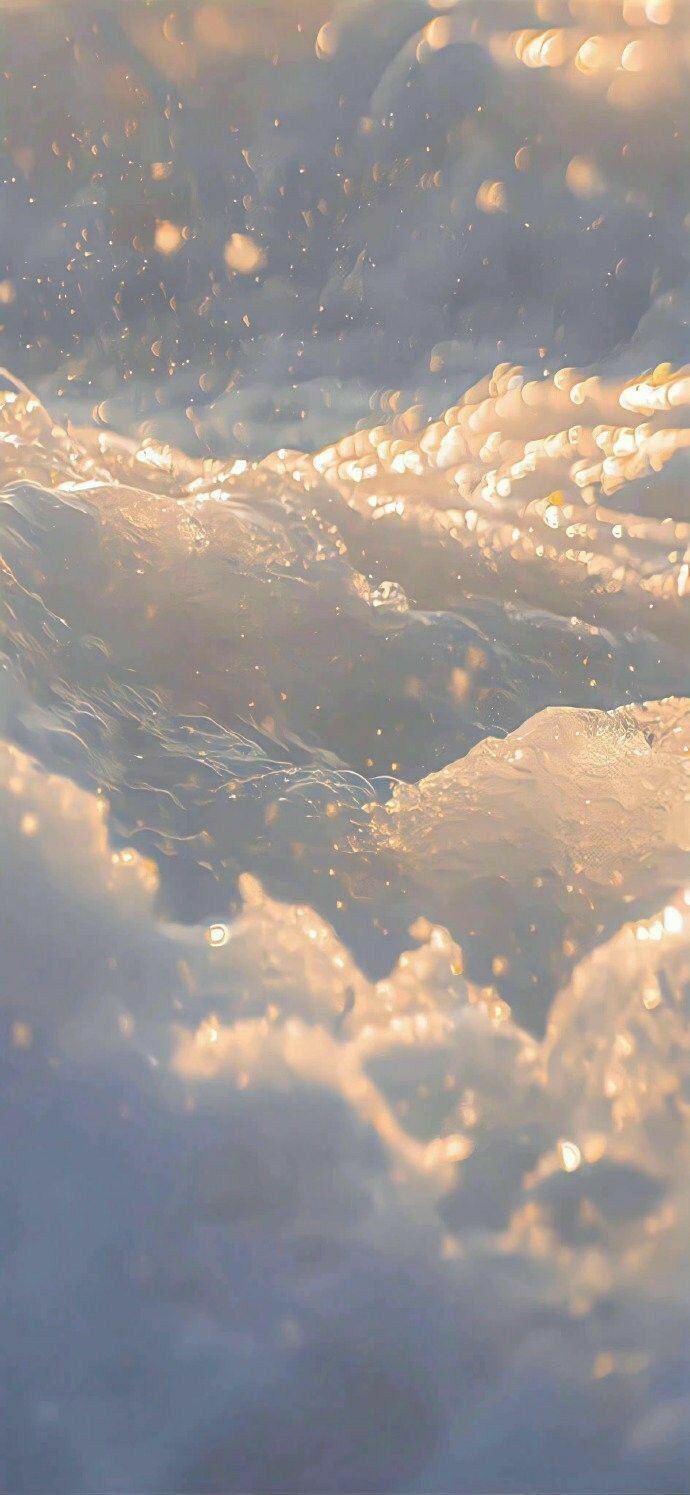 softwrenfallpetals OnlyFans profile picture