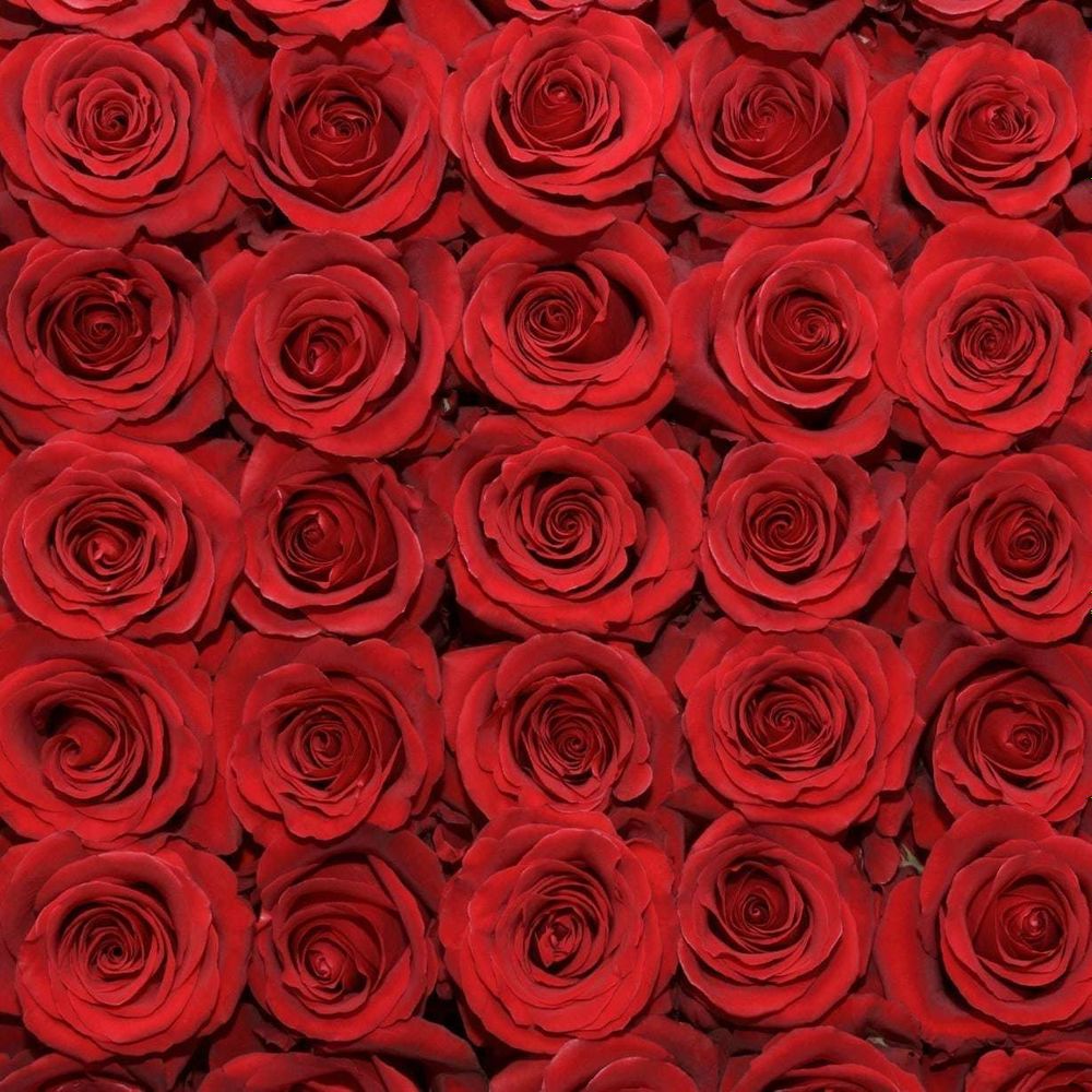 u109829391 OnlyFans profile picture