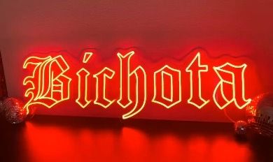 missbichota OnlyFans profile picture