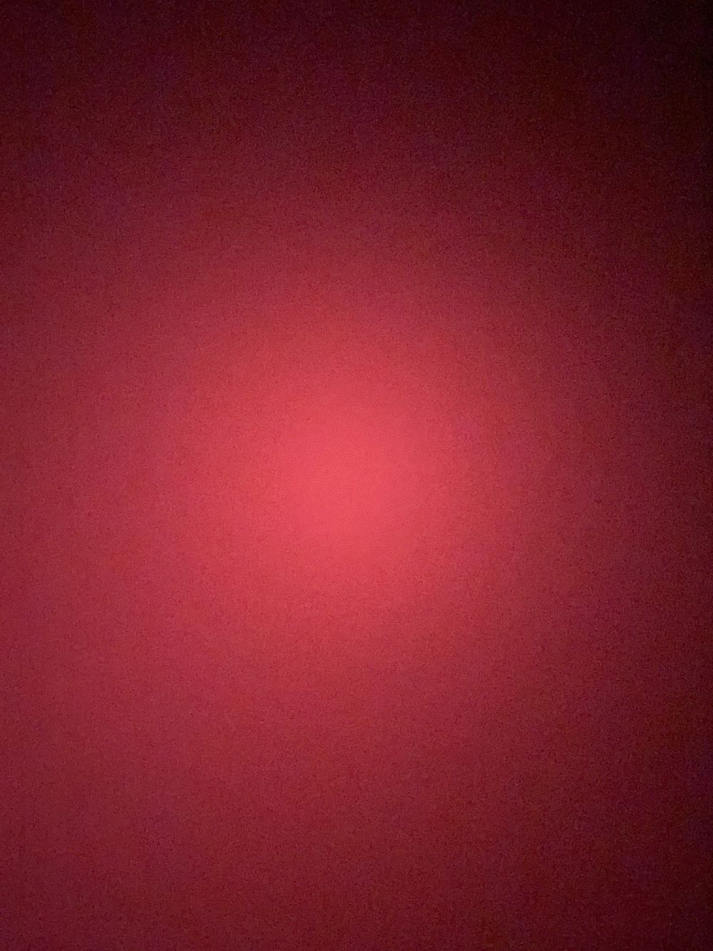 ziggynkat OnlyFans profile picture
