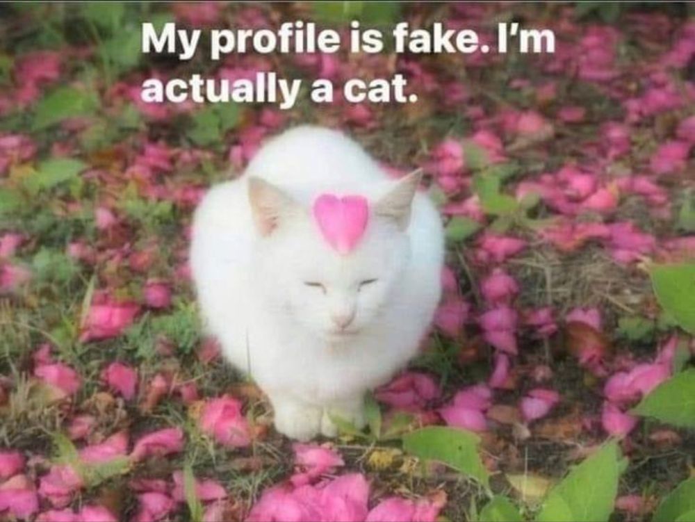 taytaybayybee OnlyFans profile picture