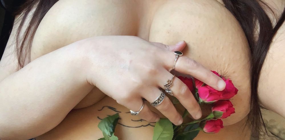 stephkatz OnlyFans profile picture