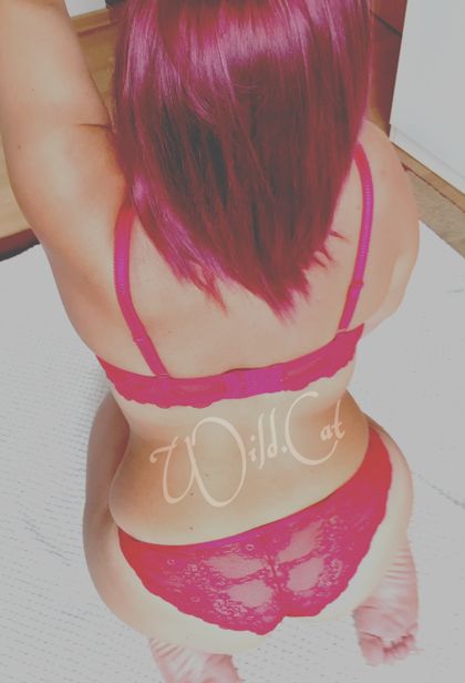wild.cat.vip OnlyFans picture