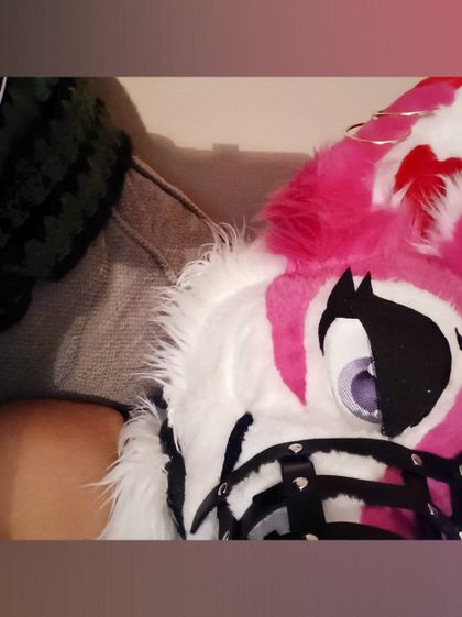 naughtiedoge OnlyFans picture