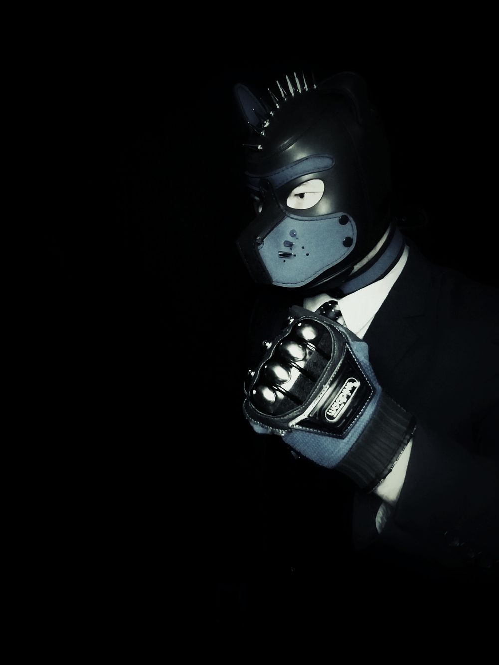 gabethealphapup OnlyFans profile picture