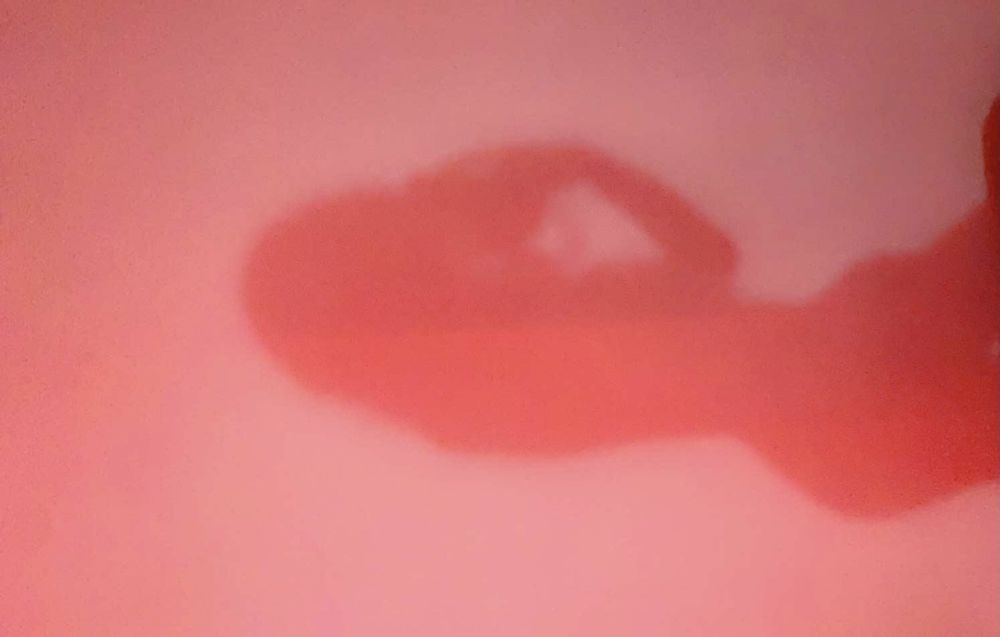 itsrealdyl OnlyFans profile picture