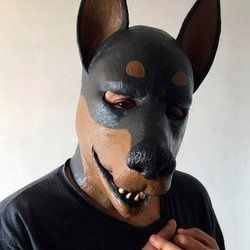 dogsharko OnlyFans picture