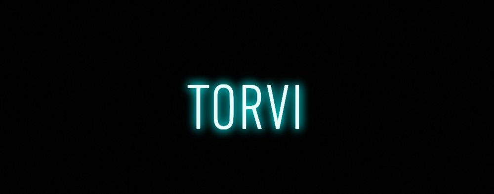 torviid OnlyFans profile picture