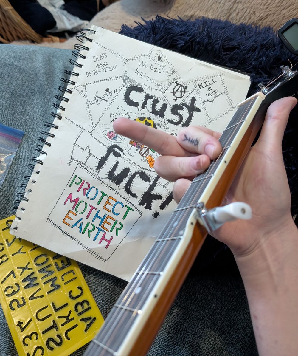 folkpunkferret OnlyFans profile picture