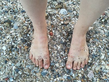 barefoothippytoes OnlyFans picture