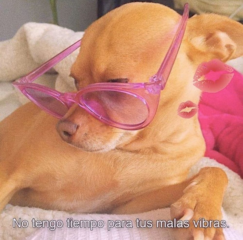 shedogotabootytho OnlyFans profile picture