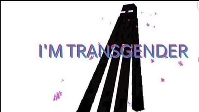 transsexualmutt OnlyFans profile picture