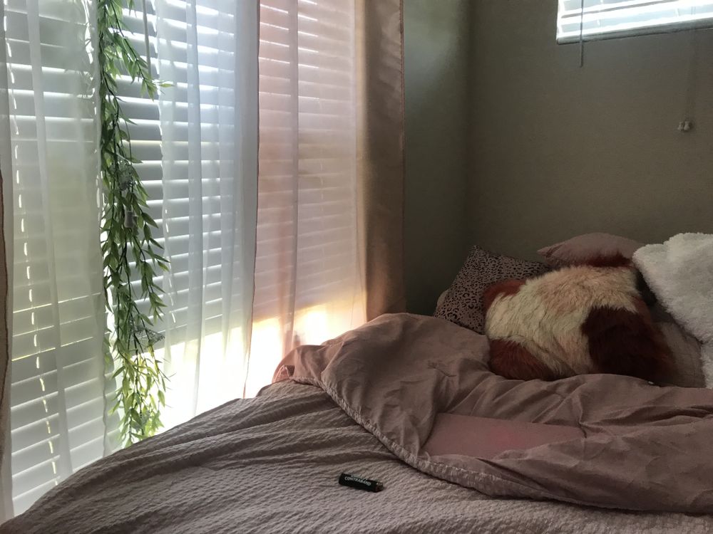 gripfairy OnlyFans profile picture