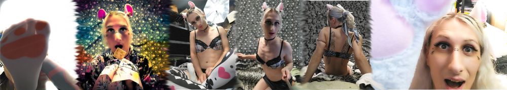 watermelonkitten OnlyFans profile picture