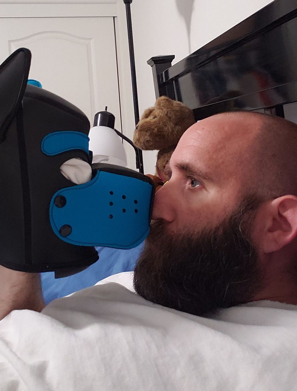 daxjeffries OnlyFans profile picture