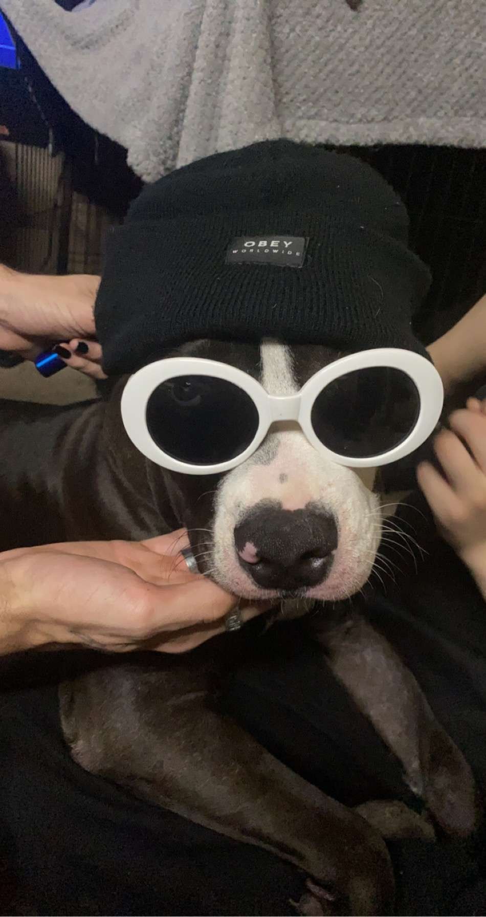 juulduringsex OnlyFans profile picture