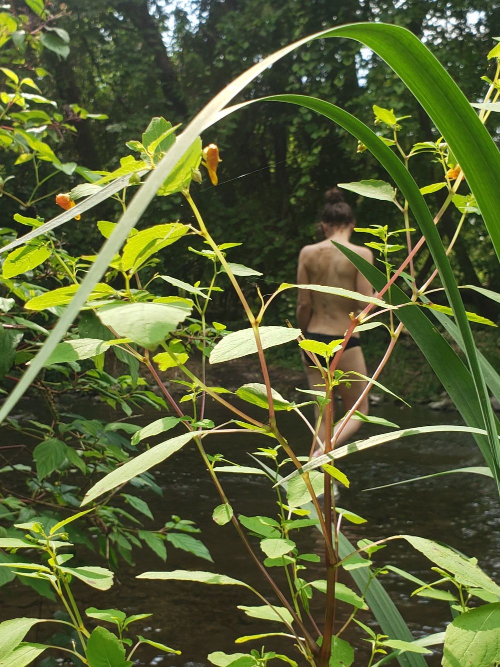 missedo OnlyFans profile picture