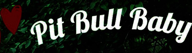 pitbullbabyfree OnlyFans profile picture
