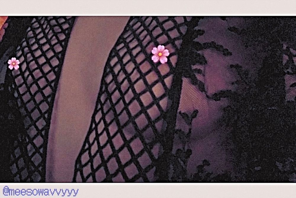 meesowavvyyy OnlyFans profile picture