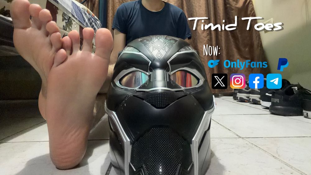 timid_toess OnlyFans profile picture