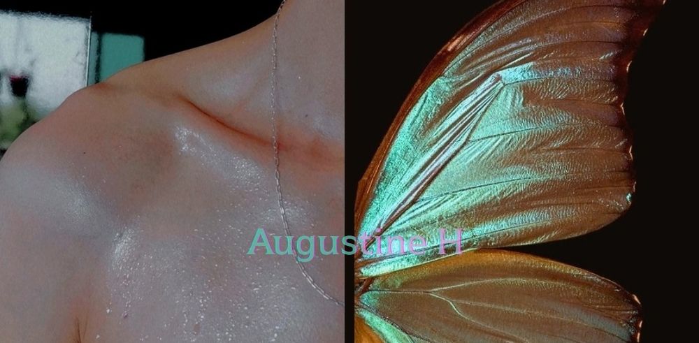 augustineh OnlyFans profile picture
