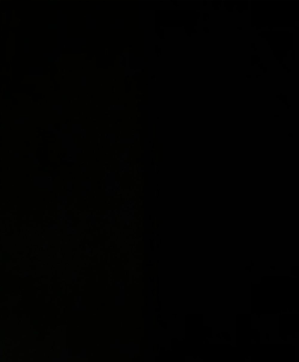 blackbird559 OnlyFans profile picture