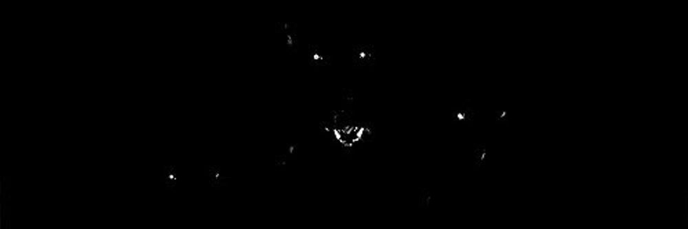 darth_dominion OnlyFans profile picture
