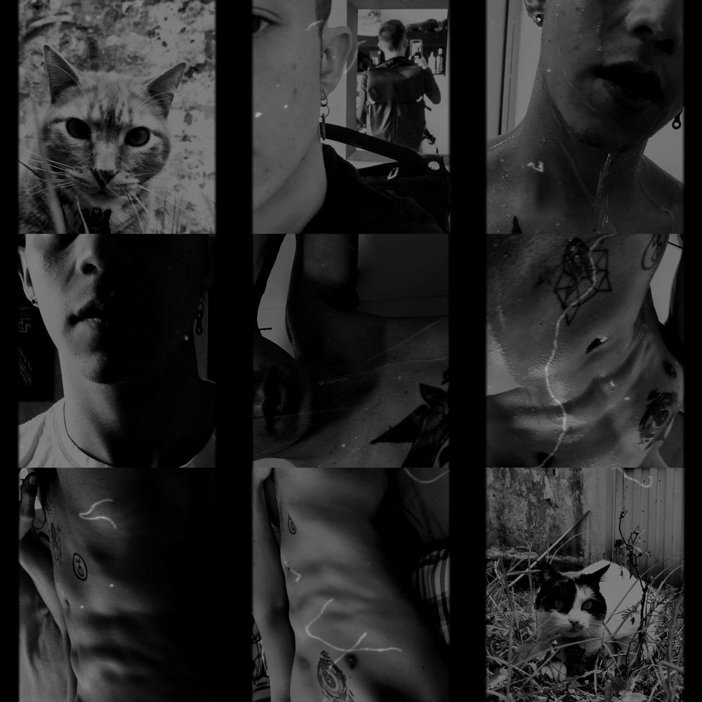 datecam OnlyFans profile picture