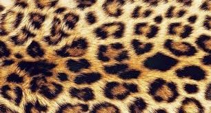 u167398141 OnlyFans profile picture
