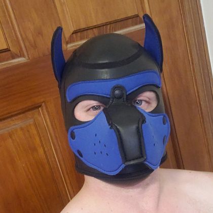 pup7demon OnlyFans picture