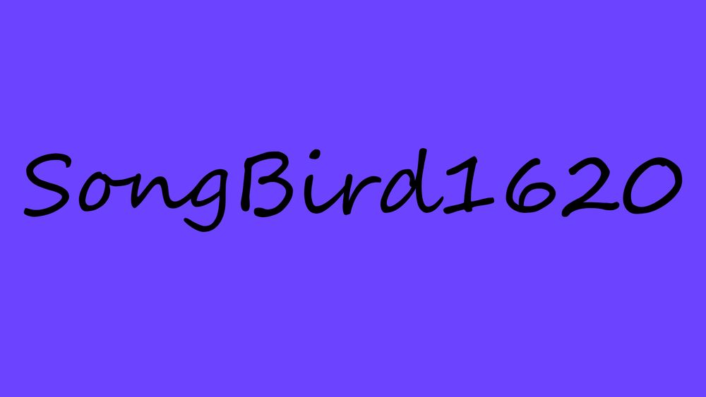 songbird20 OnlyFans profile picture
