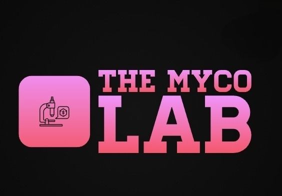 themycolab OnlyFans profile picture