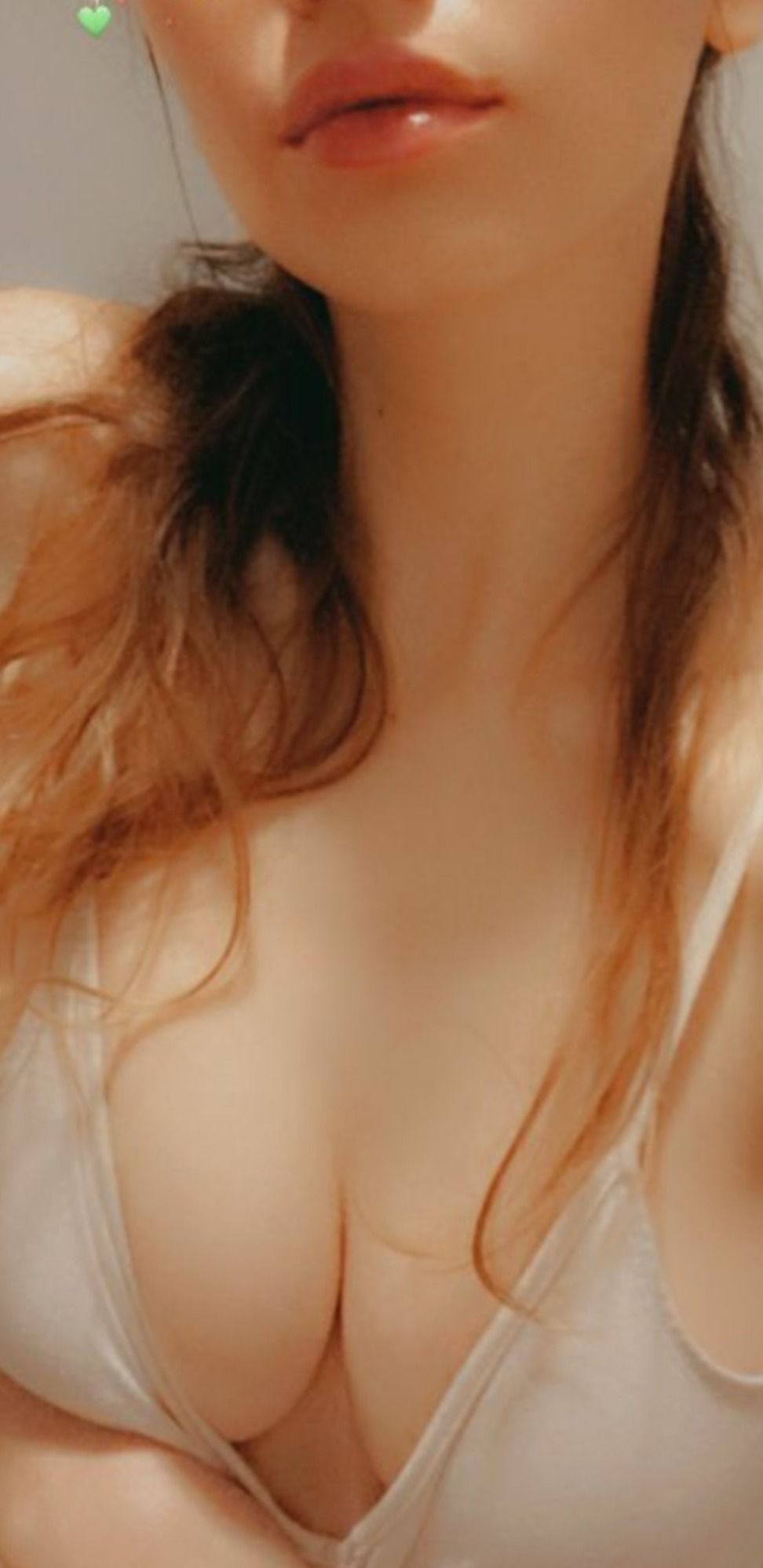 bunnybear22 OnlyFans profile picture