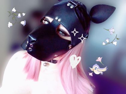 pvppygrrl OnlyFans picture