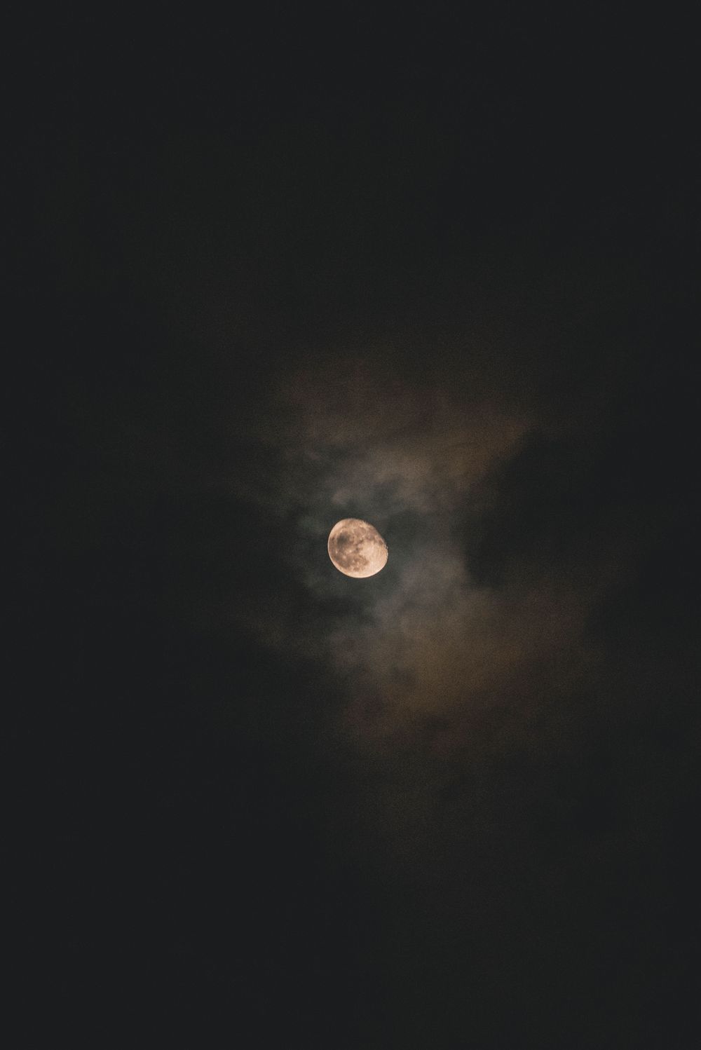 nightsatellite OnlyFans profile picture
