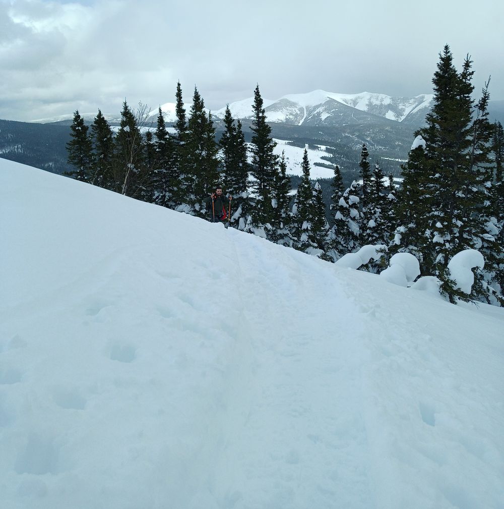 nutscape OnlyFans Free Trial Photos Socials