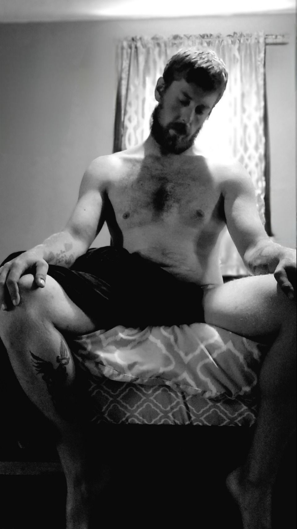 foxrider991 OnlyFans profile picture