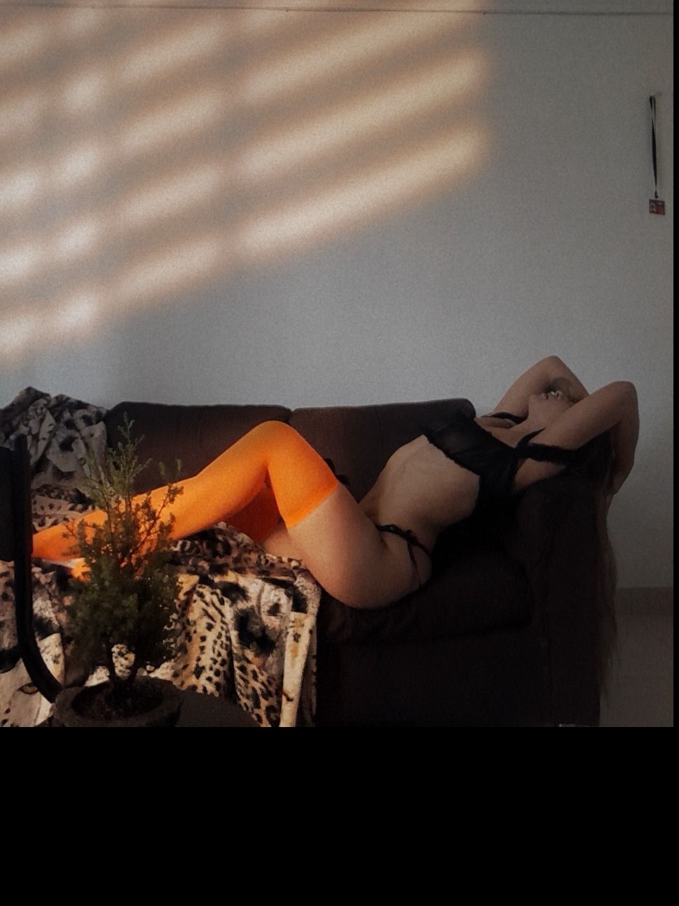 piolart OnlyFans profile picture