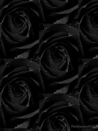 u231361581 OnlyFans profile picture